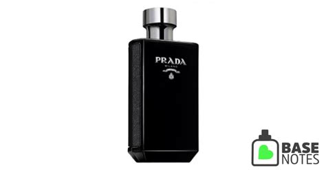 prada l'homme basenotes